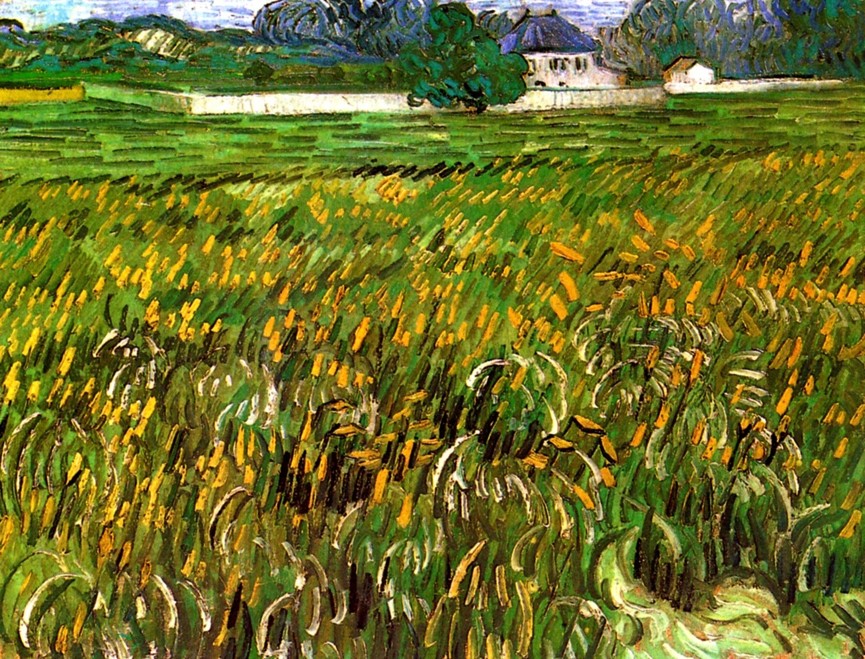 Картина Ван Гога Пшеничное поле в Овере и белый дом 1890